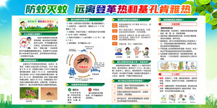 基孔肯雅热 
