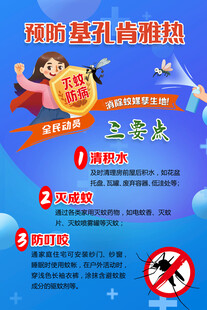 基孔肯雅热