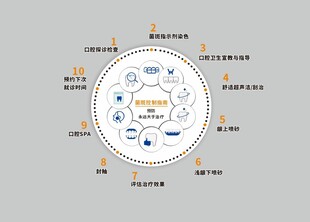 牙菌斑指南 洁牙流程