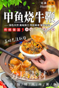 甲鱼牛鞭鸡子煲