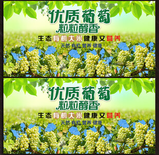 葡萄