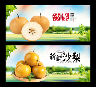 沙梨