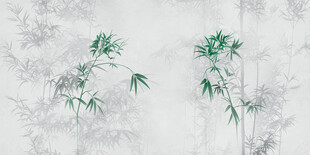 竹影
