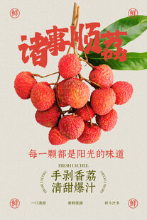 复古清新荔枝水果促销活动宣传海