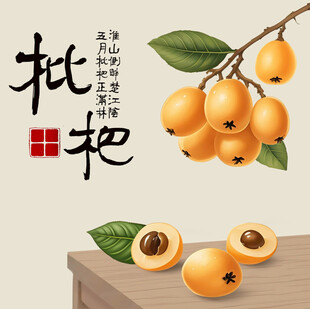 手绘枇杷
