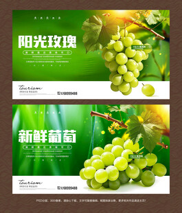 阳光玫瑰海报