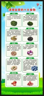 血管健康日展架