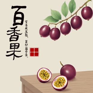 手绘百香果