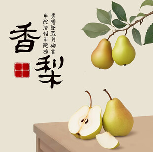 手绘香梨