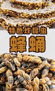 蜂蛹
