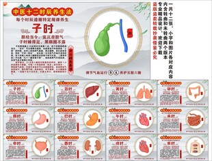中医经络十二时辰养生法海报展板
