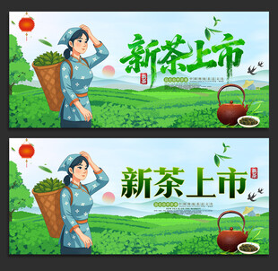 新茶上市