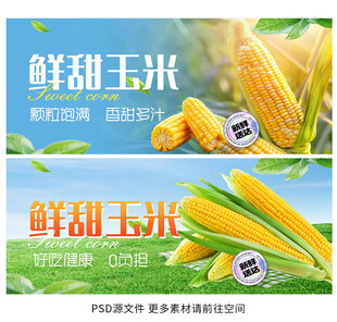 玉米