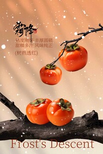 霜降节气传统活动海报