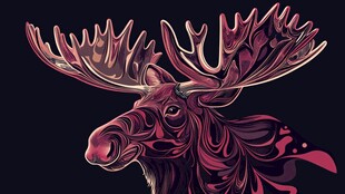 梦幻炫彩麋鹿头像插画