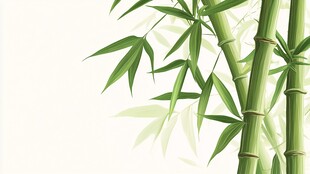 翠绿修竹 清新自然之景