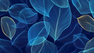 梦幻蓝色透明叶片背景图