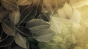 梦幻叶脉背景图