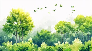 春日森林飞鸟清新风景图
