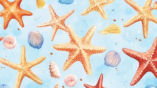 海星贝壳海洋梦幻插画