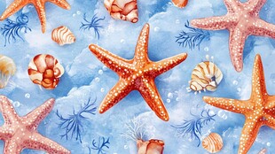 海洋海星贝壳水彩图案