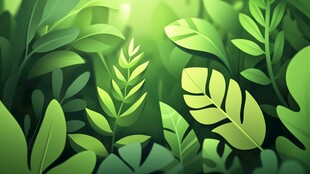 阳光照耀下的繁茂绿叶