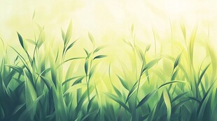 春日嫩绿青草生机画面