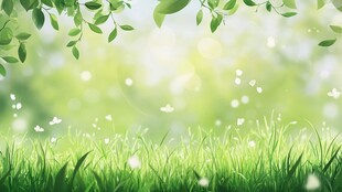 春日绿野 灵动自然景致