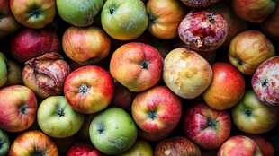 腐烂多彩苹果堆叠景象