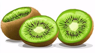 新鲜猕猴桃切片插画展示