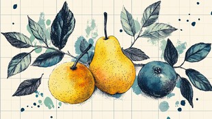 水彩绘梨与果 清新画面