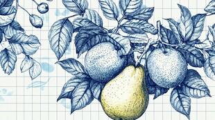 蓝调手绘梨与柑橘枝叶图