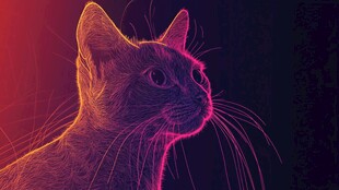 霓虹线条勾勒的神秘猫咪