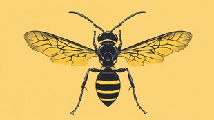 黄黑条纹黄蜂插画图