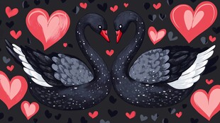 黑天鹅的浪漫爱心之约