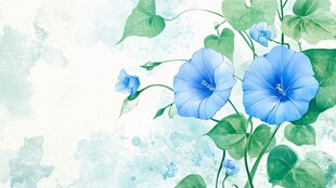 蓝色牵牛花水彩清新插画