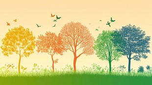 秋日多彩树木与飞鸟图景