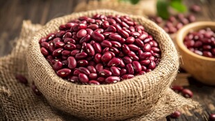 麻袋中饱满的深红色芸豆