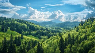 翠绿山林间的壮阔自然美景