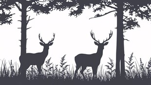 森林中双鹿剪影