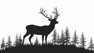 森林中的雄鹿剪影