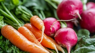 新鲜胡萝卜与萝卜的组合