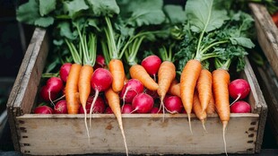 木筐里的新鲜胡萝卜与萝卜