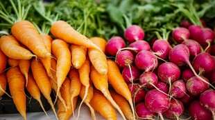 新鲜胡萝卜与萝卜的摆拍