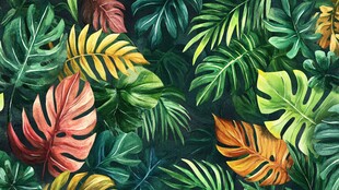 热带风情多彩植物叶片