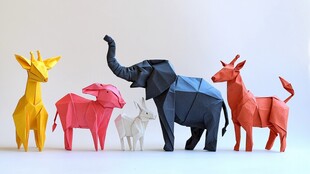 多彩折纸动物展示