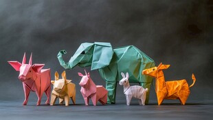 多彩折纸动物齐聚一堂