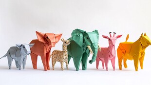 多彩折纸动物整齐排列