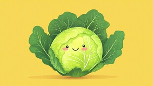 可爱卷心菜插画