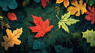 秋日多彩落叶插画风景